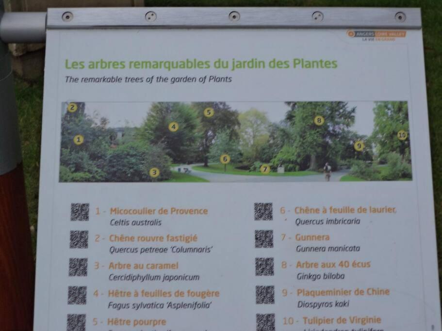 Apartment Le Grey-jardin Des Plantes-centre Des Congres *